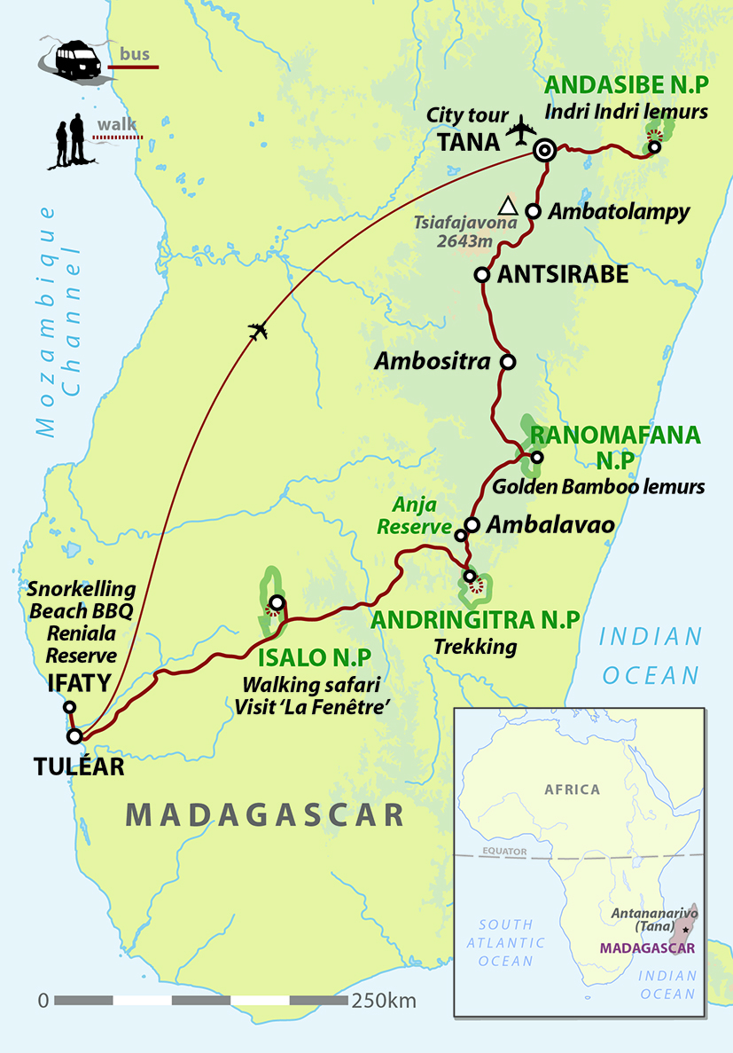 tourhub | Wild Frontiers | Madagascar: Lemurs, National Parks & Coastlines (Christmas Departure) | CIM