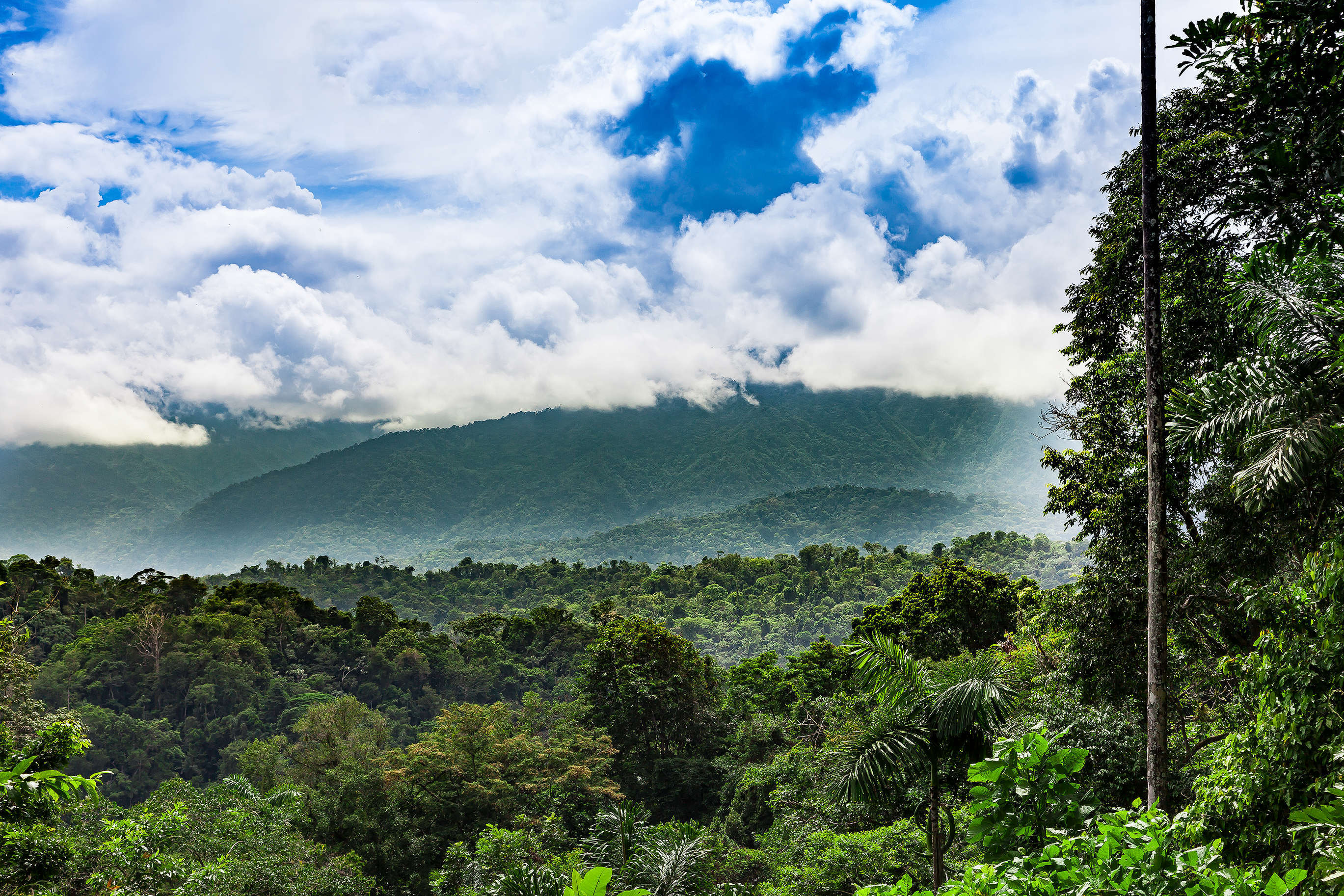 tourhub | Wild Frontiers | Costa Rica & Panama: Canal, Coffee & Volcanoes (Standard Departure) 