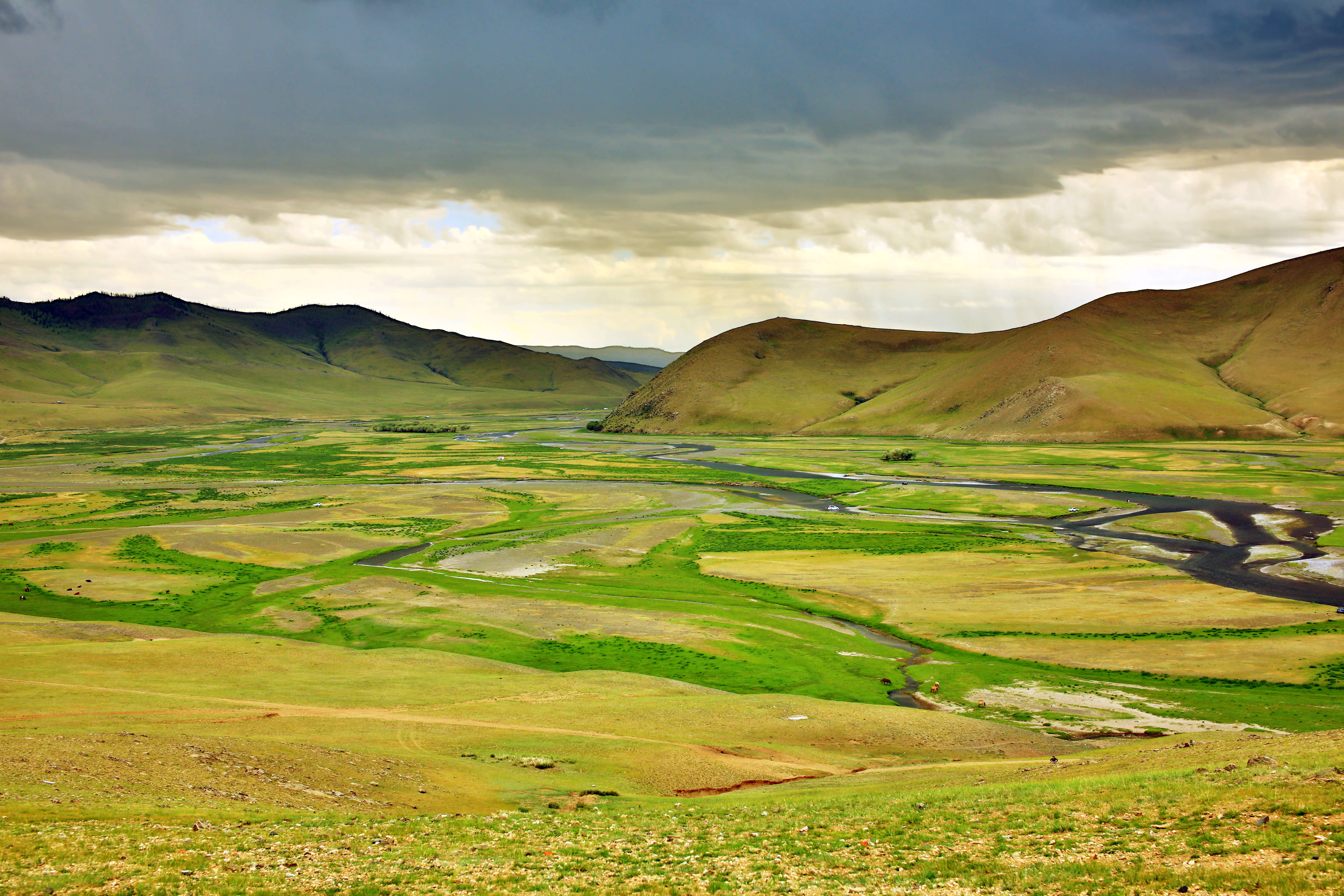 Discover Mongolia