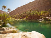 tourhub | Wild Frontiers | Northern Oman: Wadis, Mountains & Coasts 