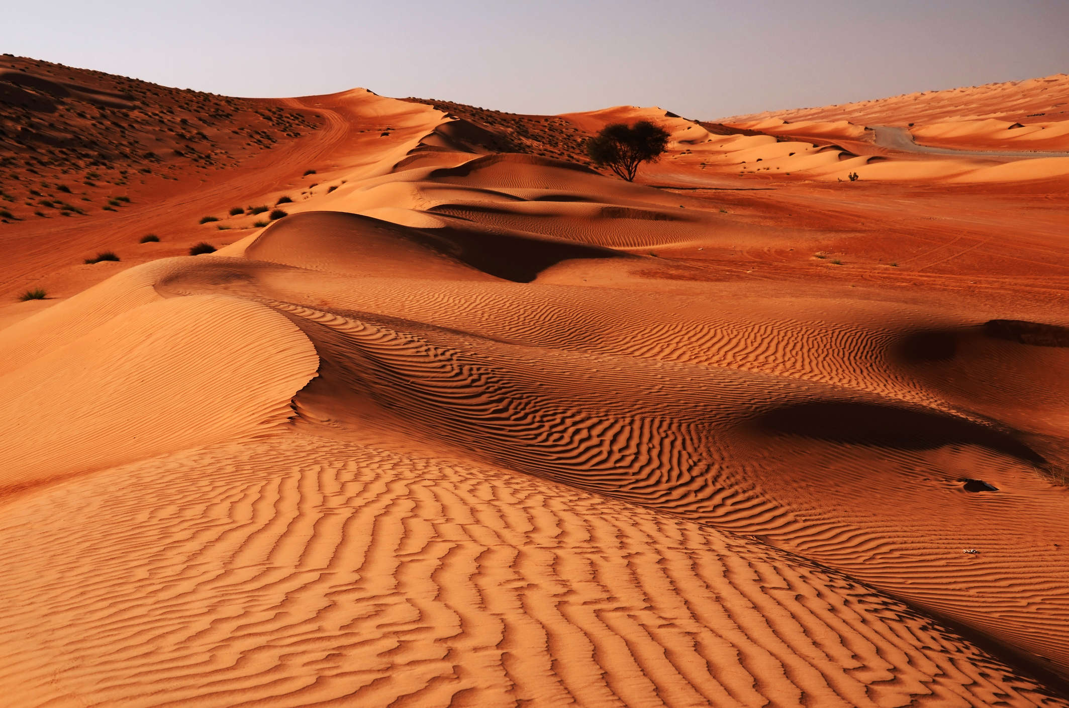 tourhub | Wild Frontiers | Northern Oman: Wadis, Mountains & Coasts 