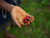 tourhub | Wild Frontiers | Tribal Lands of Papua New Guinea 