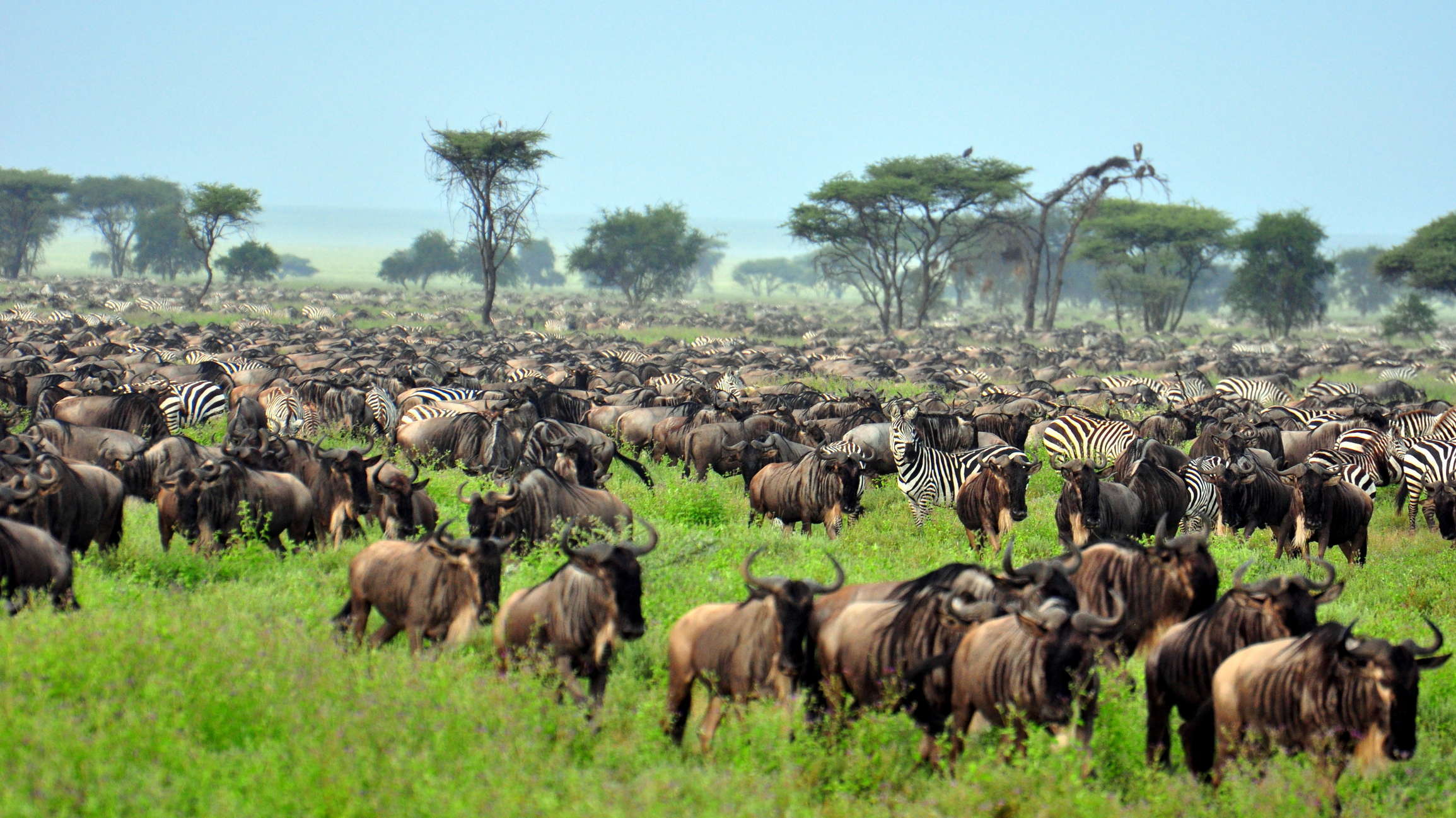 tourhub | Wild Frontiers | Tanzania: Safari, Serengeti & Maasai Heartlands (Shoulder Season) 