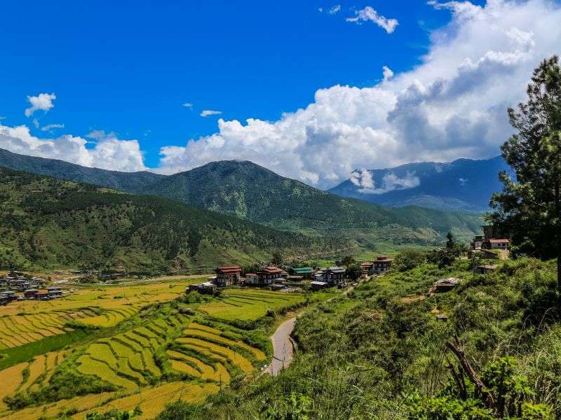 tourhub | Wild Frontiers | Bhutan: Land of the Thunder Dragon (Christmas Departure) 