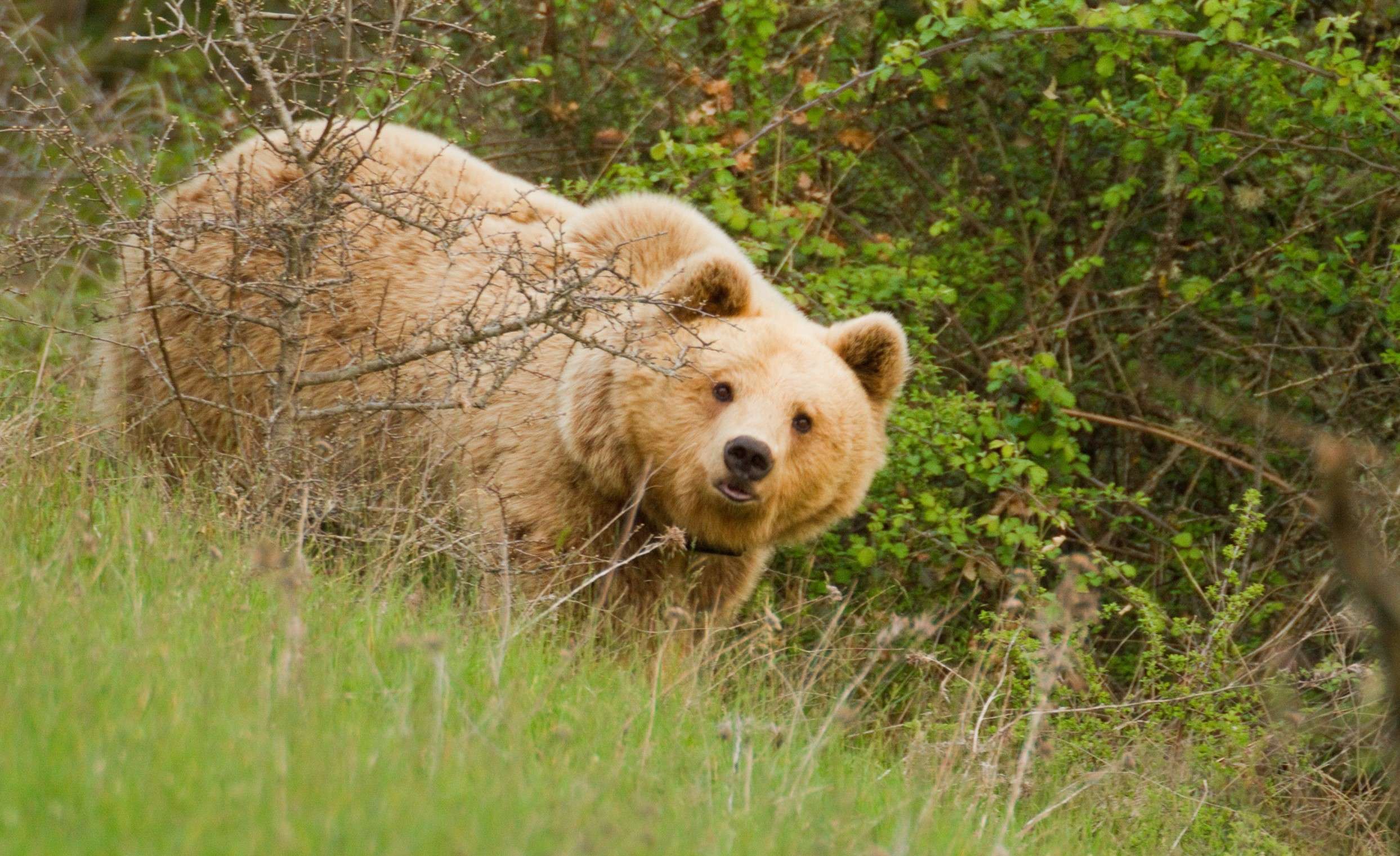 tourhub | Wild Frontiers | Northern Greece: Along The Via Egnatia 