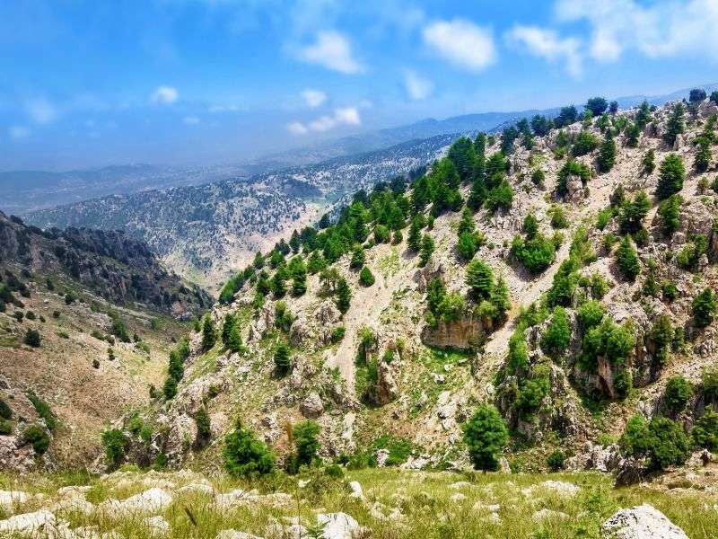 tourhub | Wild Frontiers | Lebanon: Jewel Of The Levant 