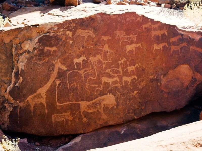 tourhub | Wild Frontiers | Namibia: Sands of Time 