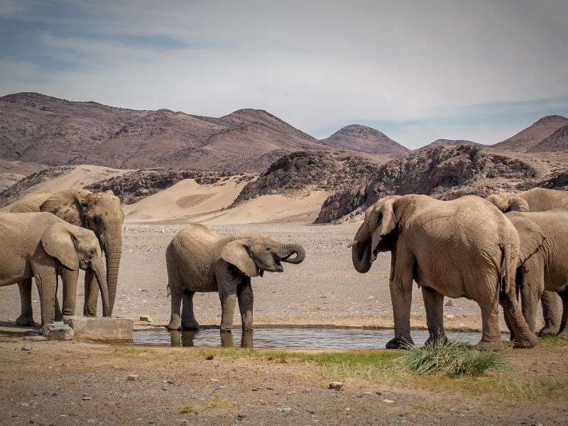 tourhub | Wild Frontiers | Namibia: Sands of Time 