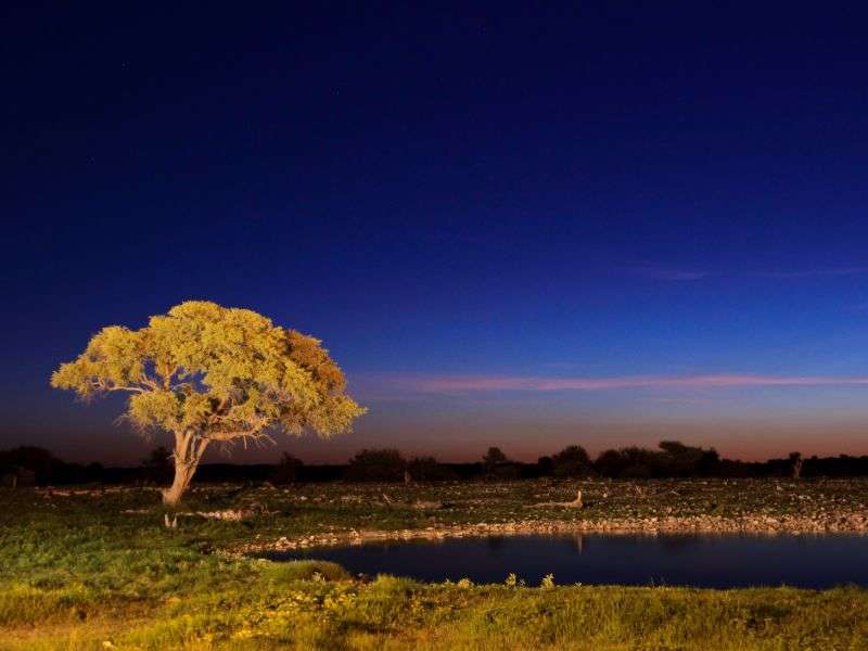 tourhub | Wild Frontiers | Namibia: Sands of Time 