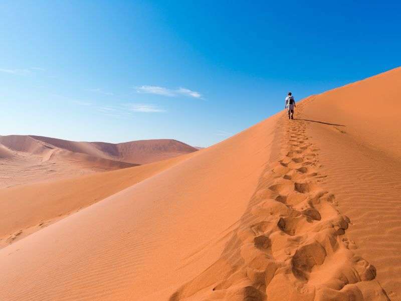 tourhub | Wild Frontiers | Namibia: Sands of Time 