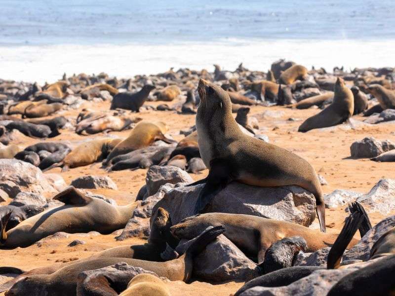 tourhub | Wild Frontiers | Namibia: Sands of Time 