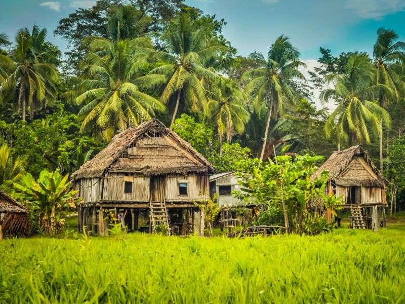 tourhub | Wild Frontiers | Tribal Lands of Papua New Guinea (Goroka Festival) 