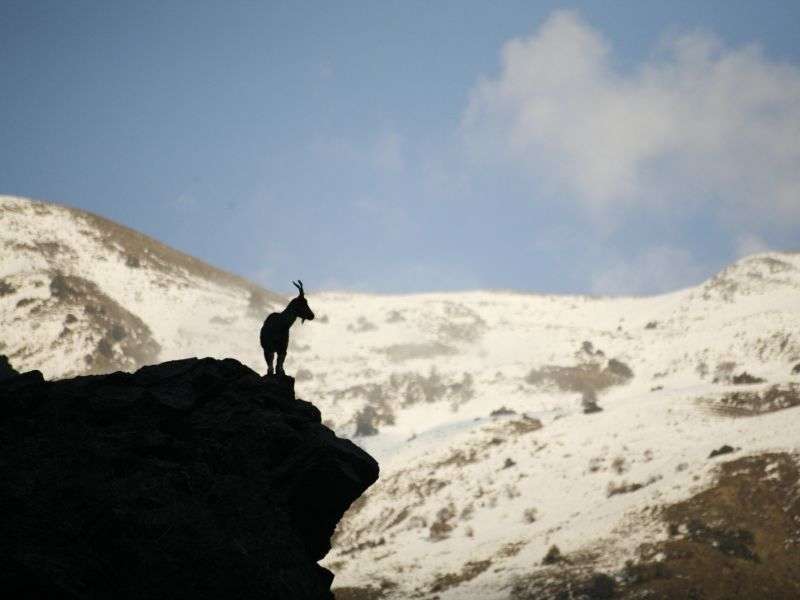 tourhub | Wild Frontiers | Pakistan: Under a Pagan Moon 