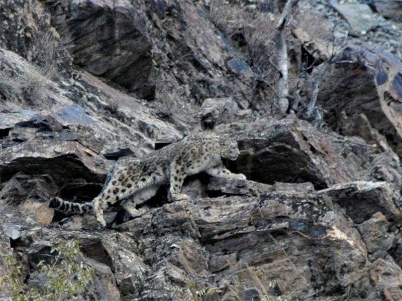 tourhub | Wild Frontiers | Pakistan: Under a Pagan Moon 