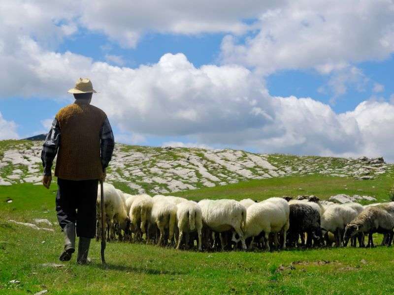 tourhub | Wild Frontiers | Walking in Montenegro 